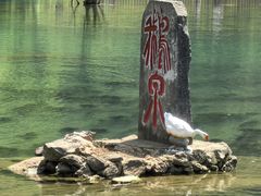 -靖西鹅泉风景区