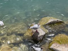 -青海湖二郎剑景区