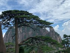 -黄山风景区