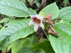-西岭雪山大飞水景区