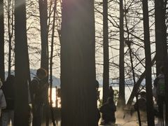 -东湖落雁景区