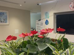 -北京港澳国际医务诊所(王府井大街店)