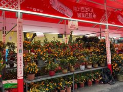 -越秀西湖花市(广州城市广场花卉店)
