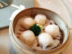 -金苑海鲜酒家(来魅力店)