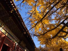 -红螺寺