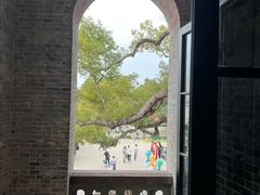 -江心屿景区