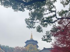 -浙江西子宾馆·牡丹厅