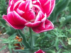 -长春公园(普阳街道)