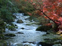 -丹东天桥沟景区