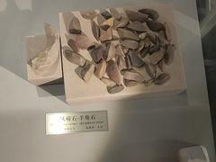 -中国地质大学逸夫博物馆