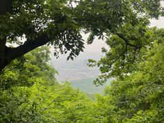 -紫金山山顶公园