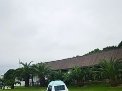 -碧海金沙