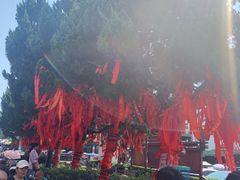 -南岳衡山风景名胜区-南岳大庙