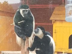 -无锡动物园·太湖欢乐园