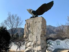 -北京鹫峰国家森林公园