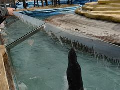 -南京金牛湖风景区