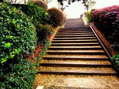 -上海市保健医疗中心(华东疗养院)