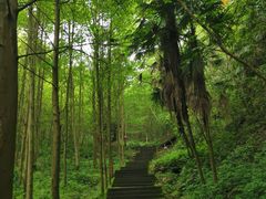 -凤栖山