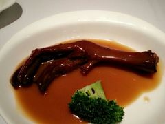 鲍汁鹅掌-老洋房花园饭店(绍兴路店)