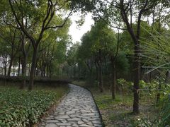 小道-新江湾城公园