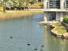 -厦门国家会计学院