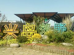 -上海长兴岛郊野公园