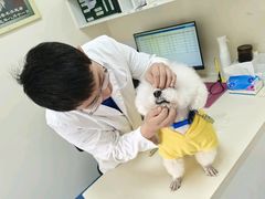 -全心全意动物诊疗中心医院(北苑店)
