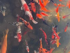 -溪口-滕头旅游景区