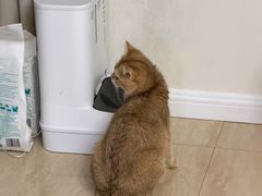 -爱派特动物医院·全科诊疗中心