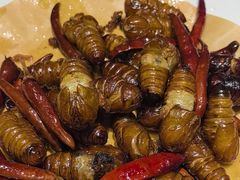 -洪沟崖张记炒鸡店(聚才路店)