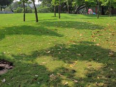 -文华公园(禅城区)