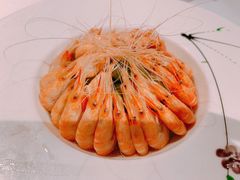糟卤白米虾-博多新记·粤菜(复兴店)