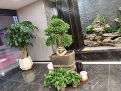 -尊足养生·影院足道·主题spa·采耳(浦江店)