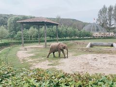 -哈尔滨北方森林动物园
