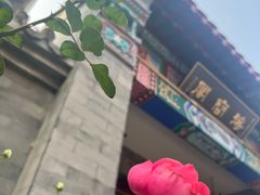 -有喜胶东小馆(太申祥和店)
