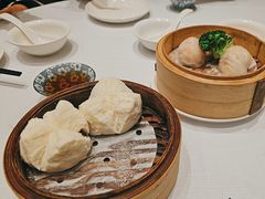 -新雅粤菜馆(南京东路店)