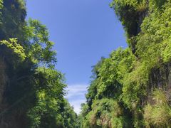 -天生桥景区
