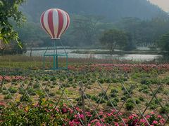 -南沙十九涌渔人码头-南门