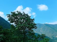 -宁波五龙潭景区