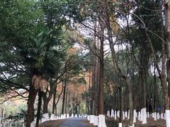 -南北湖风景区