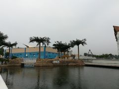 -秦皇岛乐岛海洋王国