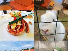 -意大利农场度假村