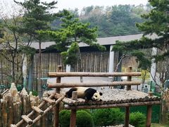 -大连森林动物园