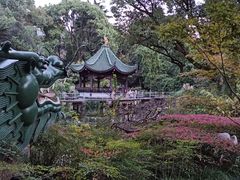 -申粤轩酒楼·三十年粤菜经典(丁香花园店)