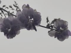 -郑和公园