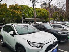 -顾村公园3号门停车场