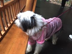 -藏龙百瀑风景区