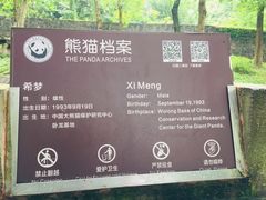 -都江堰中华大熊猫苑