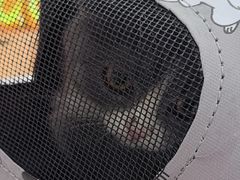 -艾贝尔宠物医院·24H转诊中心·肿瘤猫专科(江宁双龙店)