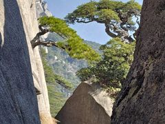 -天柱山风景区